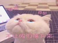 东明县奇乐复印部