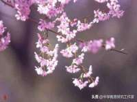 东明县奇乐复印部