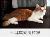 东明县奇乐复印部