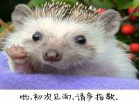 东明县奇乐复印部
