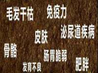 东明县奇乐复印部