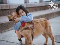 东明县奇乐复印部