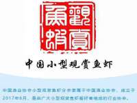 东明县奇乐复印部