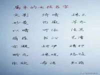 东明县奇乐复印部